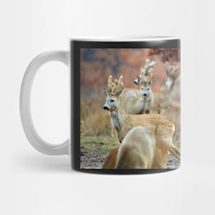 Roe deer family Mug